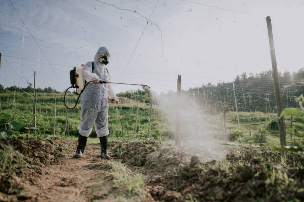 Best Mosquito Control Services  in Berkeley, MO