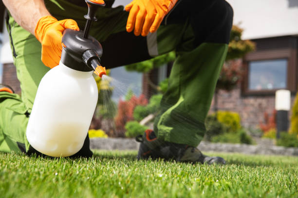 Best Pest Control Near Me  in Berkeley, MO