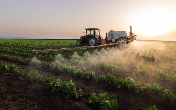 Pest Control Cost in Berkeley, MO