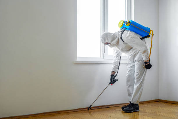 Reliable Berkeley, MO Pest Control Solutions