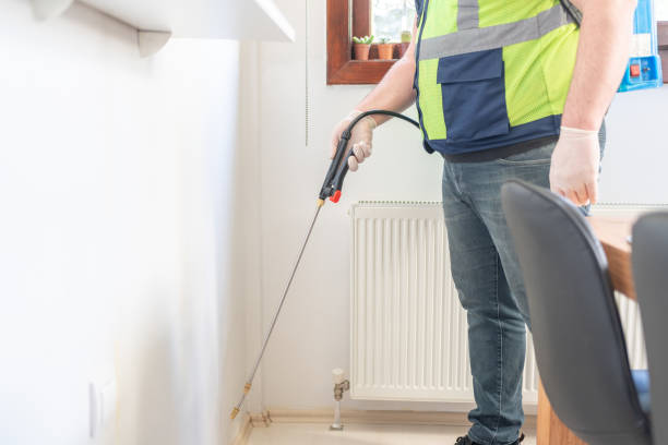 Best Flea Control Services  in Berkeley, MO