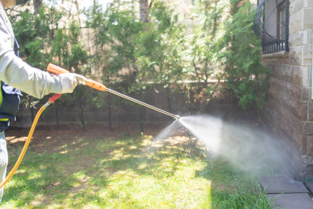 Best Emergency Pest Control  in Berkeley, MO