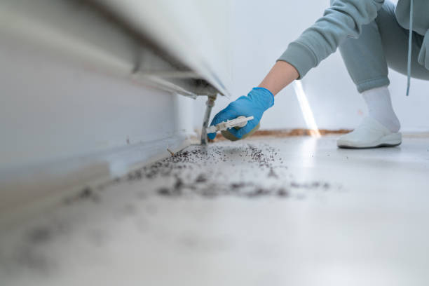 Berkeley, MO Pest Control Company